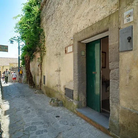 Piccinina - A Pochi Passi Da Eva